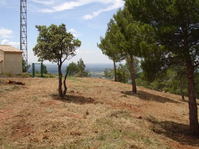 Debroussaillage A Toulouse Agence De Toulouse Haute Garonne Serpe