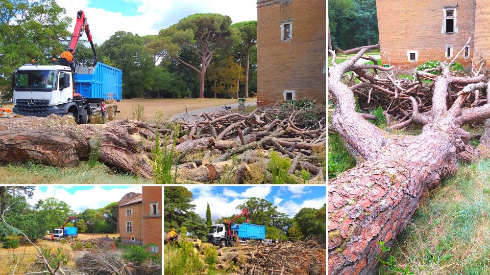 SERPE - Remise en etat du parc du château de Pibrac suite a tempête.png