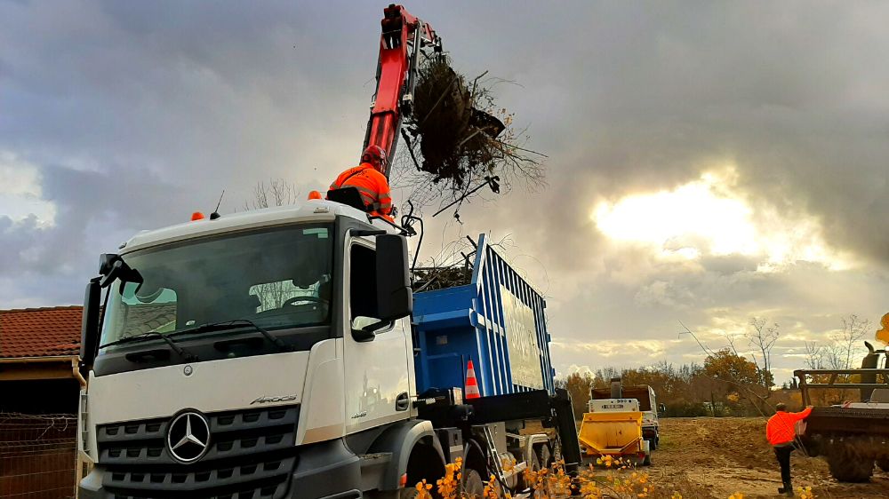 Toulouse - Toulouse - Restauration du site route de Revel abattage haies, broyage, abattage des platanes - 2019 - T190493.png